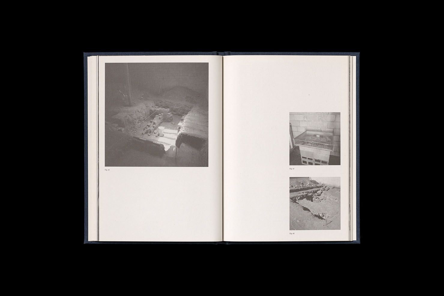 Notes From a Cretaceous World. Case bound, 88pp, offset, edition of 500. Text by Shelley McSpedden. Introduction by Geraldine Barlow. Design by Warren Taylor (with Nicholas Mangan). ISBN 978-0-9807907-1-9. Published by The Narrows, 2010