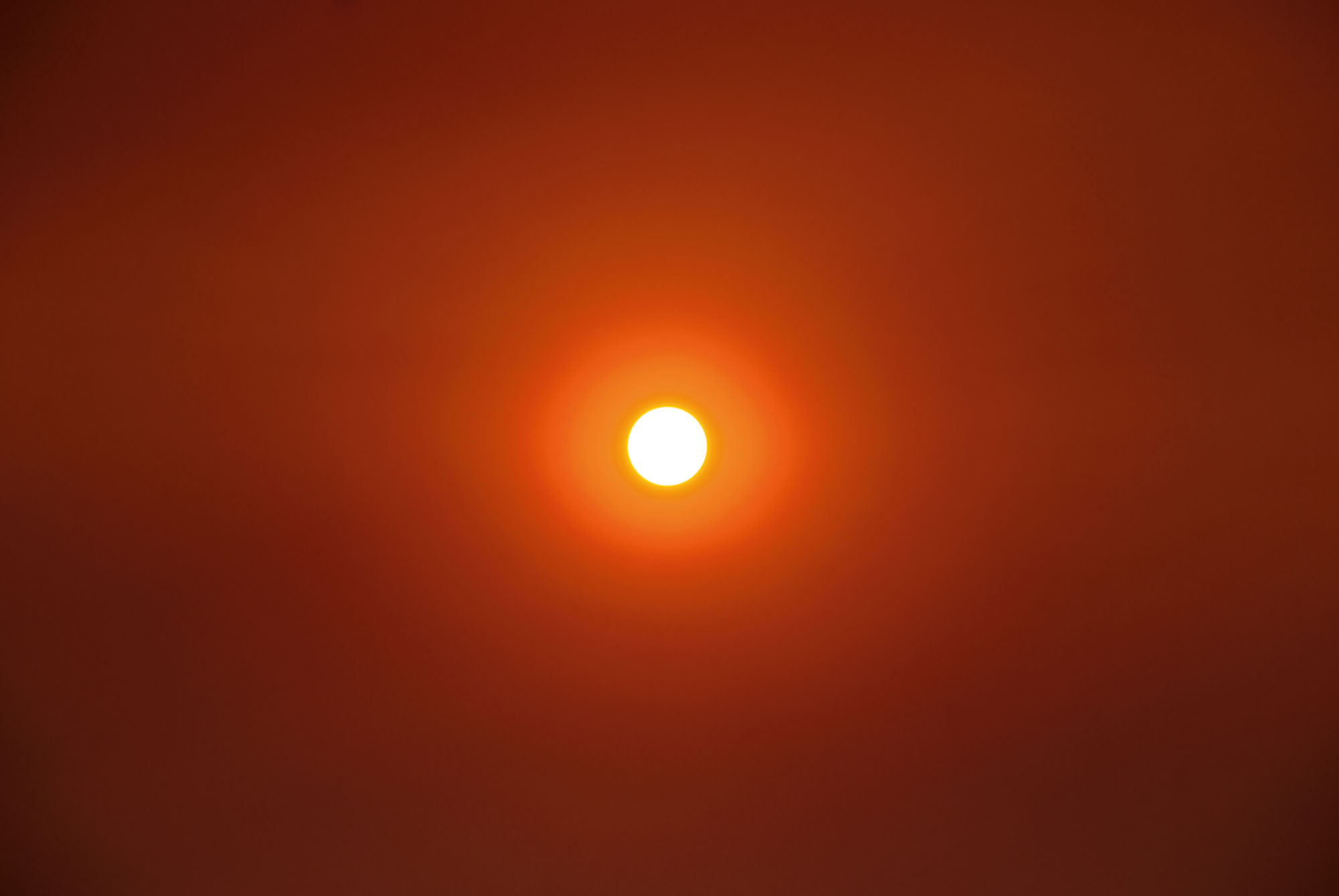Nicholas Mangan, *Friday the 13th*, 2009, C-type print, 98.5 × 68.5 cm. Picture of the sun on the 13th of February, seven days after the Black Saturday bush fires in Victoria, Australia.