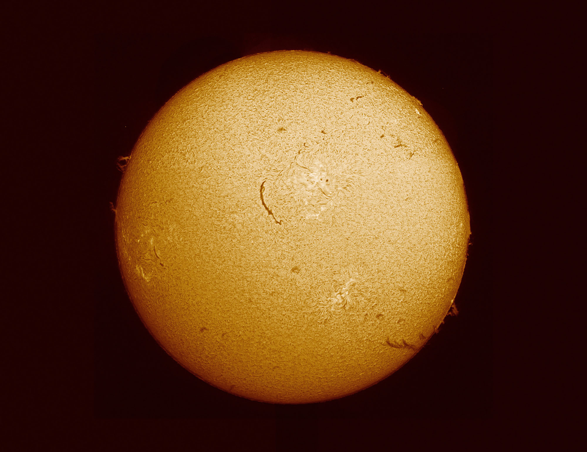 Image of the sun taken by Solar and Heliospheric Observatory (SOHO) and European Space Agency (ESA).